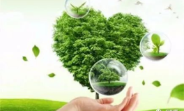 私密食疗,揭秘私处健康养生的秘密食谱